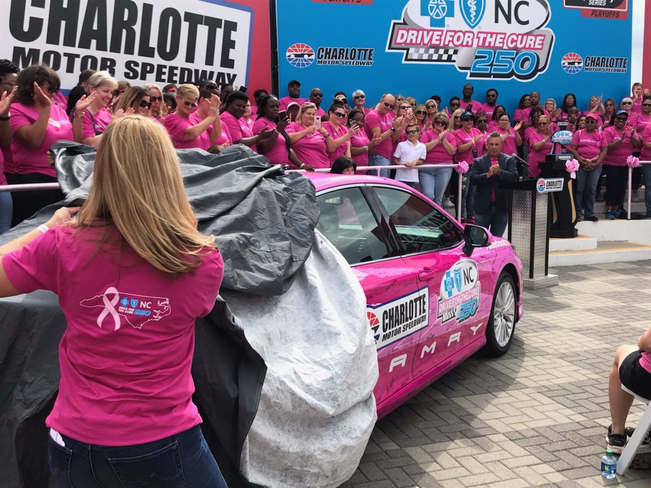 Paint Pit Wall Pink